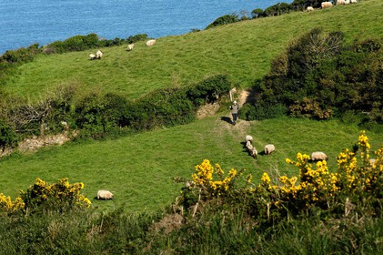 Le village de Vauville fait partie des sites classés de la Hague, Cap Cotentin. Les Pierres Pouquelées, galerie néolithique, sont un témoignage de l'Antiquité.La mare de Vauville est une réserve naturelle. Créée en 1976 c'est l'une des 135 réserves naturelles de France. Géré par le Groupe Ornithologique Normand depuis 1983, c'est un marais d'eau douce protégé de la mer par un étroit cordon dunaire. La mare de Vauville fait 62 ha, il y a plus de 150 espèces d'oiseaux ainsi que de 350 plantes et 16 espèces de batraciens.Un édifice autrefois religieux domine le village. C'est le prieuré de Vauville construit dans les landes, sur le haut d'une colline.Créé par Eric et Nicole Pellerin en 1947, l'exceptionnel jardin botanique du château de Vauville occupe plus de 40 000 m2. Abritant plus de 1000 espèces de l'hémisphère austral, le jardin entoure le château de Vauville dans une ambiance subtropicale tout à fait surprenante.