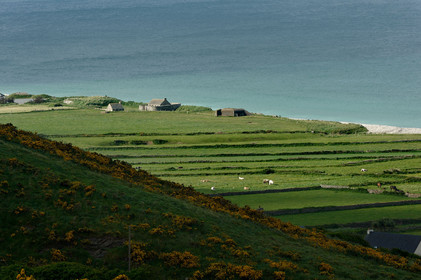 Le village de Vauville fait partie des sites classés de la Hague, Cap Cotentin. Les Pierres Pouquelées, galerie néolithique, sont un témoignage de l'Antiquité.La mare de Vauville est une réserve naturelle. Créée en 1976 c'est l'une des 135 réserves naturelles de France. Géré par le Groupe Ornithologique Normand depuis 1983, c'est un marais d'eau douce protégé de la mer par un étroit cordon dunaire. La mare de Vauville fait 62 ha, il y a plus de 150 espèces d'oiseaux ainsi que de 350 plantes et 16 espèces de batraciens.Un édifice autrefois religieux domine le village. C'est le prieuré de Vauville construit dans les landes, sur le haut d'une colline.Créé par Eric et Nicole Pellerin en 1947, l'exceptionnel jardin botanique du château de Vauville occupe plus de 40 000 m2. Abritant plus de 1000 espèces de l'hémisphère austral, le jardin entoure le château de Vauville dans une ambiance subtropicale tout à fait surprenante.