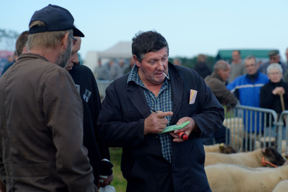Foire aux moutons (Jobourg)