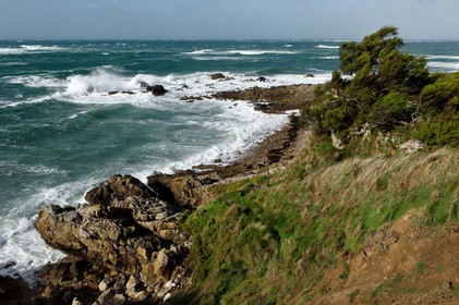 Antoine Soubigou Photographe