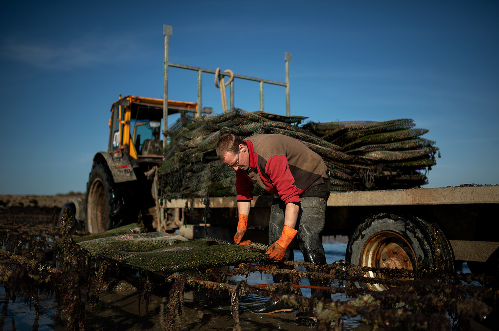 Les parcs à huîtres de Saint-Vaast-la-Hougue (Cotentin)