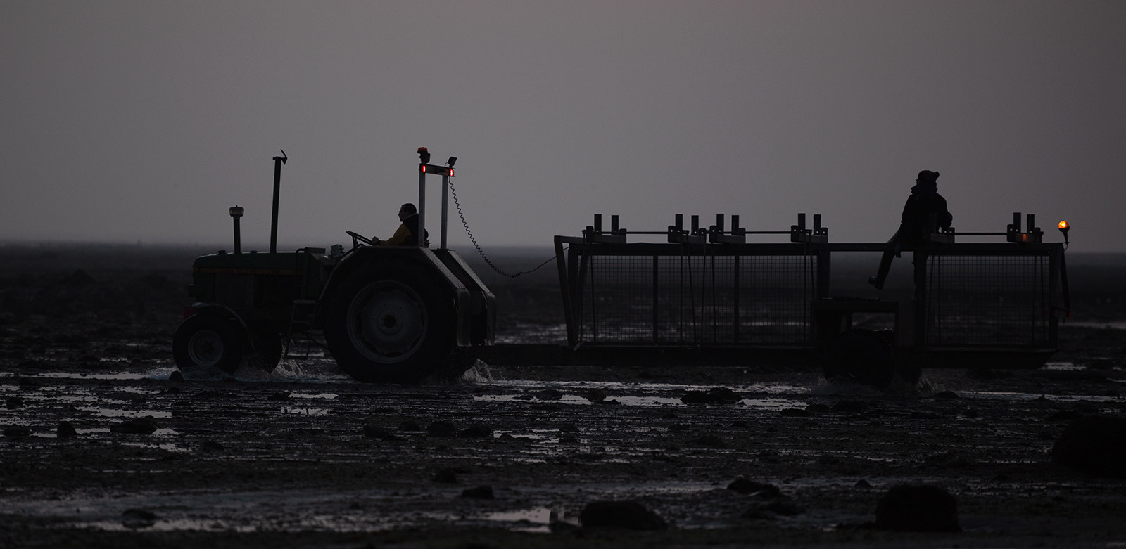 Les parcs à huîtres de Saint-Vaast-la-Hougue (Cotentin)