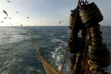Ce reportage a été réalisé en janvier 2014 à bord du chalutier Marie-Catherine, appartenant à la SARL Armement Cherbourgeois créé en 1999 par Sophie et David LEROY. Cette marée de 7 jours fût assez mouvementée d'une part par la météo très capricieuse, mais également par la difficulté de réaliser les prises de vues. Une sélection de 20 photographies a été présentée lors de la 4ème édition du Festival photo L'Homme et la Mer au Guilvinec (Bretagne) en 2014, ainsi qu'au Musée de Tatihou 'Avis de grand frais (Manche) http:  www.armement-cherbourgeois.fr 