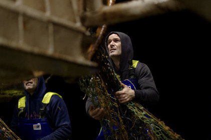 Ce reportage a été réalisé en janvier 2014 à bord du chalutier Marie-Catherine, appartenant à la SARL Armement Cherbourgeois créé en 1999 par Sophie et David LEROY. Cette marée de 7 jours fût assez mouvementée d'une part par la météo très capricieuse, mais également par la difficulté de réaliser les prises de vues. Une sélection de 20 photographies a été présentée lors de la 4ème édition du Festival photo L'Homme et la Mer au Guilvinec (Bretagne) en 2014, ainsi qu'au Musée de Tatihou 'Avis de grand frais (Manche) http:  www.armement-cherbourgeois.fr 