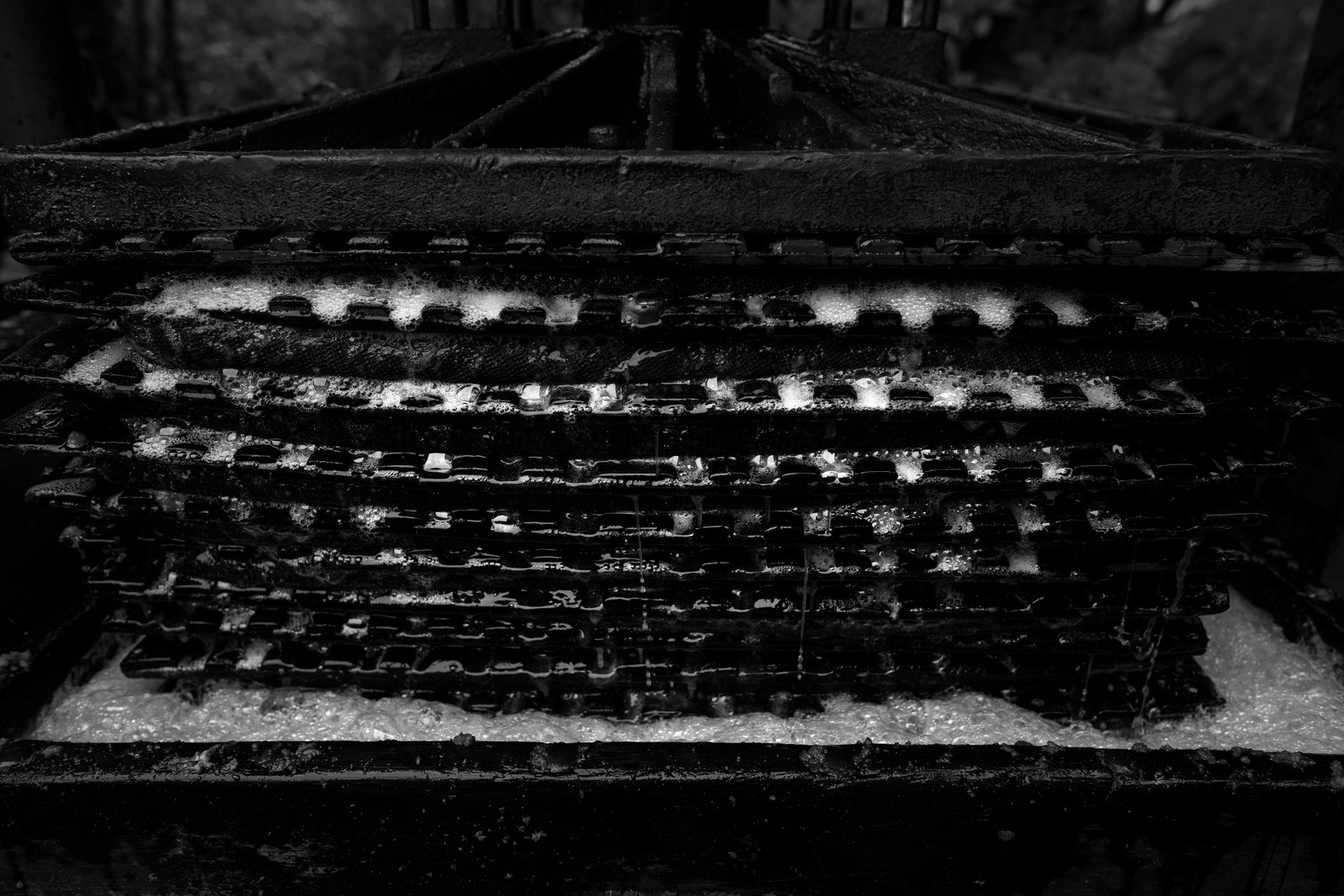 Les vergers du Clos Moulin