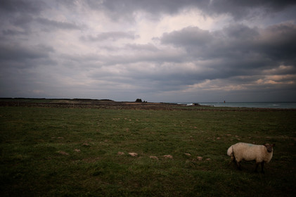 La Presqu'île du Cotentin