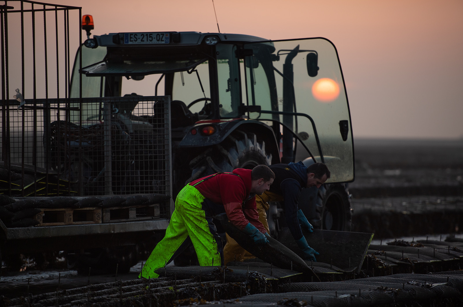 Les parcs à huîtres de Saint-Vaast-la-Hougue (Cotentin)