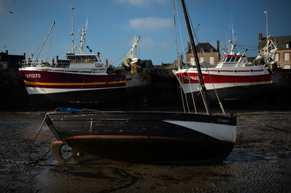 La Presqu'île du Cotentin