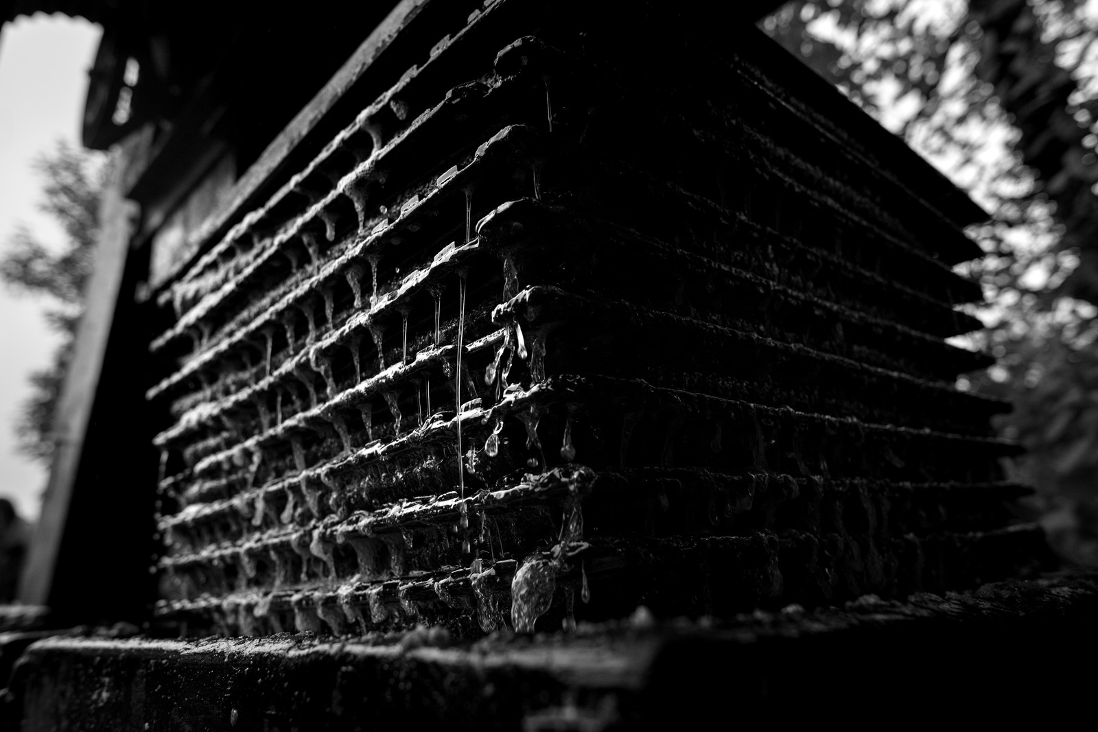 Les vergers du Clos Moulin