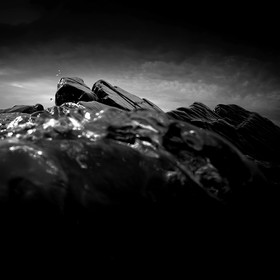 Antoine Soubigou Photographe