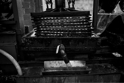 Les vergers du Clos Moulin