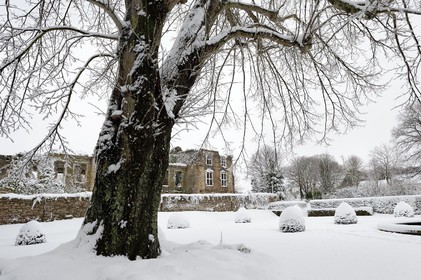 Antoine Soubigou Photographe