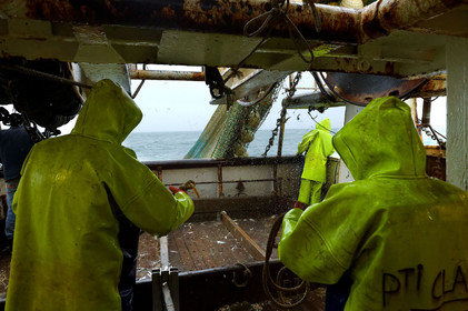 Ce reportage a été réalisé en janvier 2014 à bord du chalutier Marie-Catherine, appartenant à la SARL Armement Cherbourgeois créé en 1999 par Sophie et David LEROY. Cette marée de 7 jours fût assez mouvementée d'une part par la météo très capricieuse, mais également par la difficulté de réaliser les prises de vues. Une sélection de 20 photographies a été présentée lors de la 4ème édition du Festival photo L'Homme et la Mer au Guilvinec (Bretagne) en 2014, ainsi qu'au Musée de Tatihou 'Avis de grand frais (Manche) http:  www.armement-cherbourgeois.fr 
