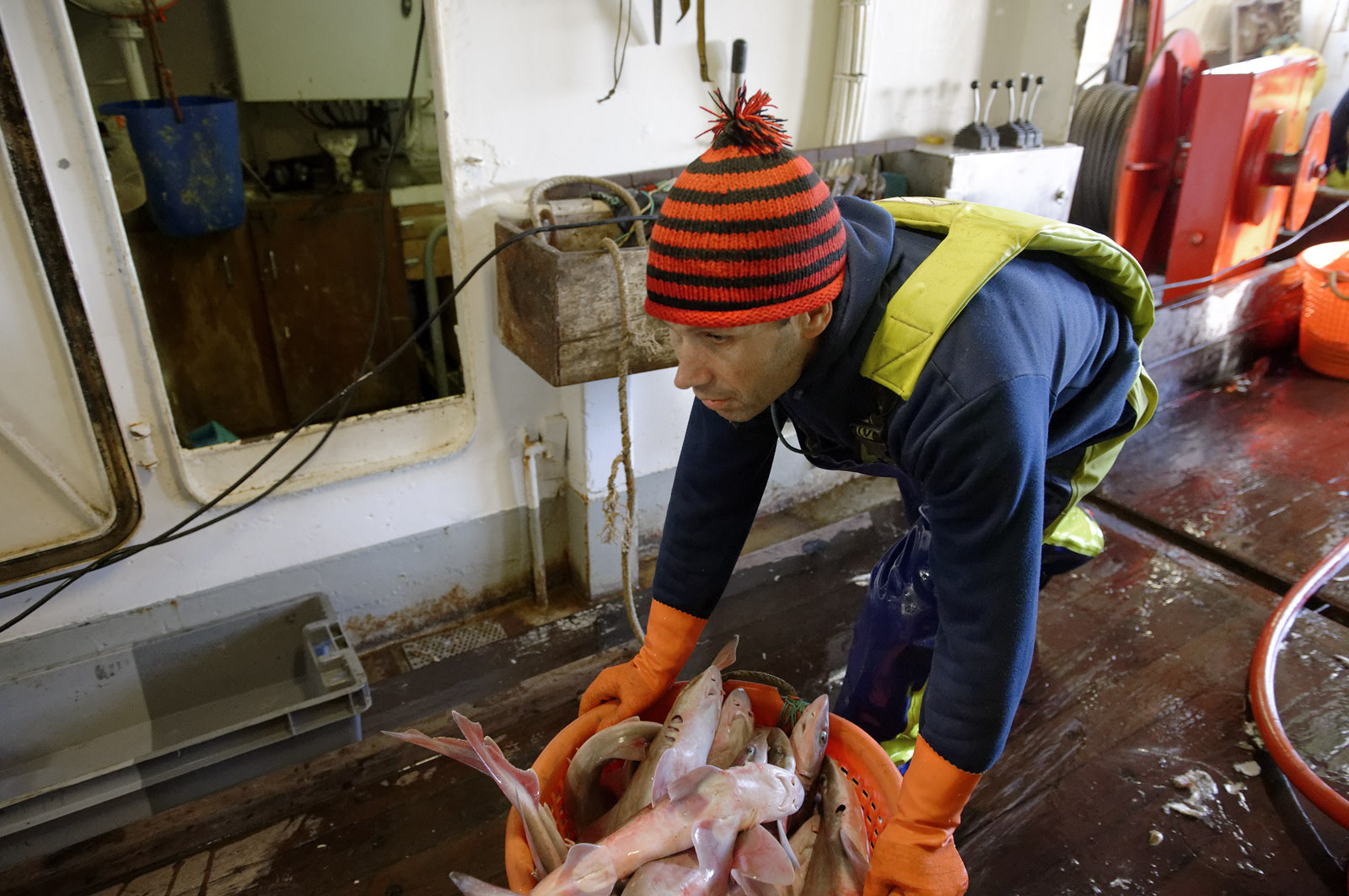 Ce reportage a été réalisé en janvier 2014 à bord du chalutier Marie-Catherine, appartenant à la SARL Armement Cherbourgeois créé en 1999 par Sophie et David LEROY. Cette marée de 7 jours fût assez mouvementée d'une part par la météo très capricieuse, mais également par la difficulté de réaliser les prises de vues. Une sélection de 20 photographies a été présentée lors de la 4ème édition du Festival photo L'Homme et la Mer au Guilvinec (Bretagne) en 2014, ainsi qu'au Musée de Tatihou 'Avis de grand frais (Manche) http:  www.armement-cherbourgeois.fr 