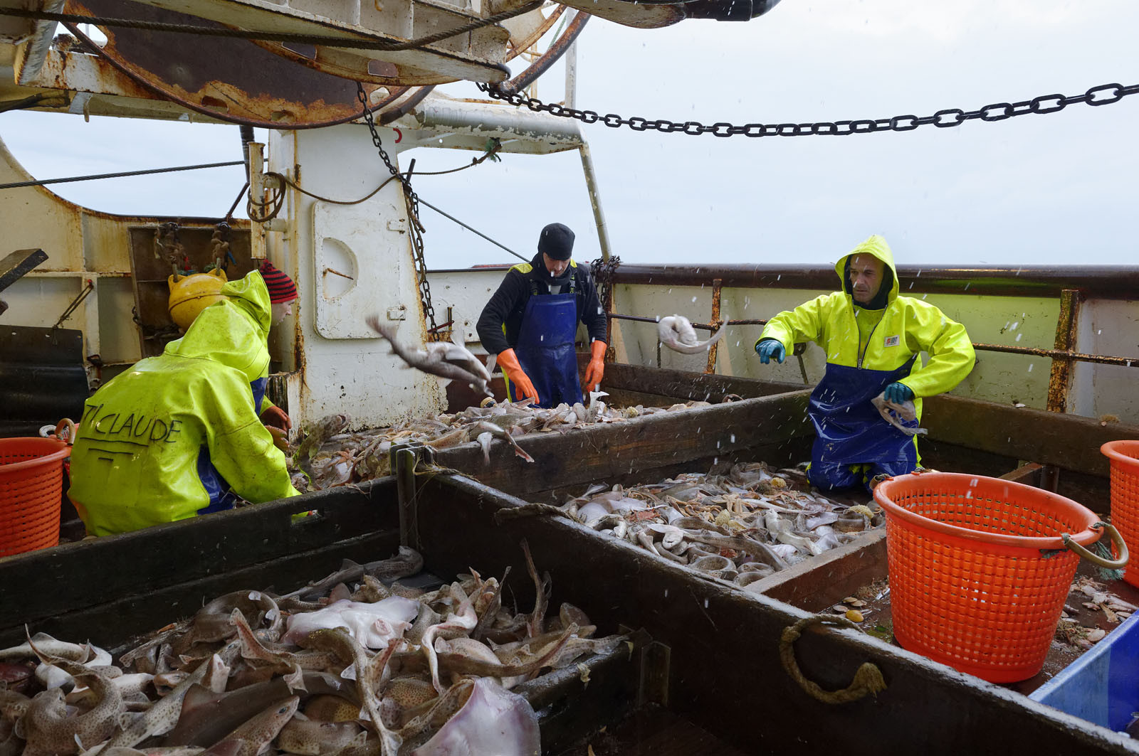 Ce reportage a été réalisé en janvier 2014 à bord du chalutier Marie-Catherine, appartenant à la SARL Armement Cherbourgeois créé en 1999 par Sophie et David LEROY. Cette marée de 7 jours fût assez mouvementée d'une part par la météo très capricieuse, mais également par la difficulté de réaliser les prises de vues. Une sélection de 20 photographies a été présentée lors de la 4ème édition du Festival photo L'Homme et la Mer au Guilvinec (Bretagne) en 2014, ainsi qu'au Musée de Tatihou 'Avis de grand frais (Manche) http:  www.armement-cherbourgeois.fr 