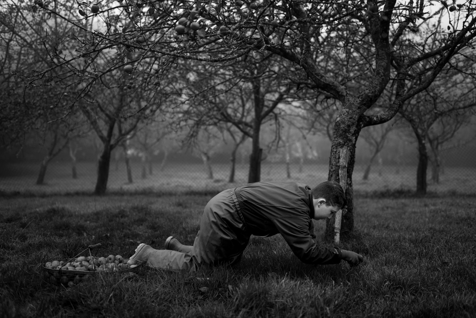 Les vergers du Clos Moulin