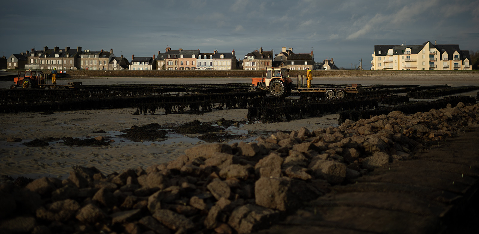 Les parcs à huîtres de Saint-Vaast-la-Hougue (Cotentin)