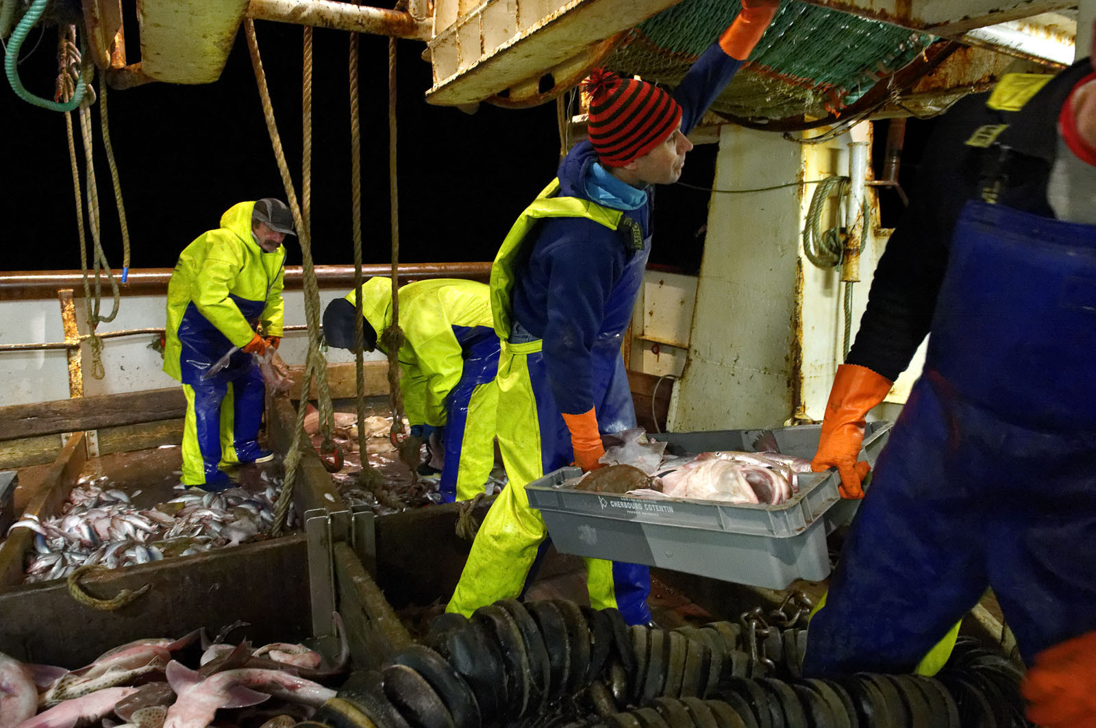 Ce reportage a été réalisé en janvier 2014 à bord du chalutier Marie-Catherine, appartenant à la SARL Armement Cherbourgeois créé en 1999 par Sophie et David LEROY. Cette marée de 7 jours fût assez mouvementée d'une part par la météo très capricieuse, mais également par la difficulté de réaliser les prises de vues. Une sélection de 20 photographies a été présentée lors de la 4ème édition du Festival photo L'Homme et la Mer au Guilvinec (Bretagne) en 2014, ainsi qu'au Musée de Tatihou 'Avis de grand frais (Manche) http:  www.armement-cherbourgeois.fr 