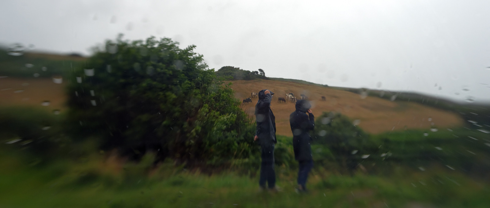 Une journée pluvieuse dans la Hague