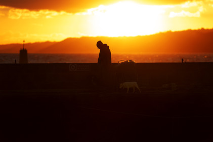 La Presqu'île du Cotentin
