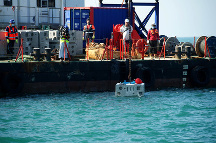 En Normandie, on teste les digues du futur pour protéger la faune et la flore marines