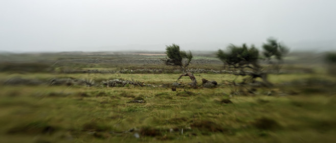 Une journée pluvieuse dans la Hague
