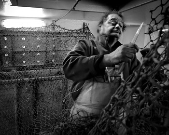 Marin pêcheur.. Deux mots qui suscitent tant de sentiments divers chez les gens de terre... Respect, admiration pour cette liberté, ce courage, mais aussi souvent peur et angoisse. Sont-ils fous ou désepérés pour risquer ainsi leurs vies quotidiennement ? Non, justes passionnés par leur métier, la mer est leur grande histoire d'amour.Le salaire de la peur des forcats de la mer, le journaliste avait raison.Ces photographies réalisées au cours de plusieurs marées à bord du Yannick, chalutier cherbourgeois, vous décrivent l'histoire d'un navire, d'un équipage, d'une famille. Vous embarquez à leurs côtés et découvrez leurs conditions de travail, la tempête, la fatigue, et, au détour d'une image, un sourire.Sophie LeroyDirectice de l'Armement Cherbourgeois