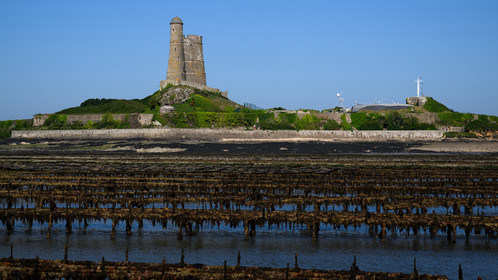 Les huîtres de Saint-Vaast-la-Hougue (Cotentin)