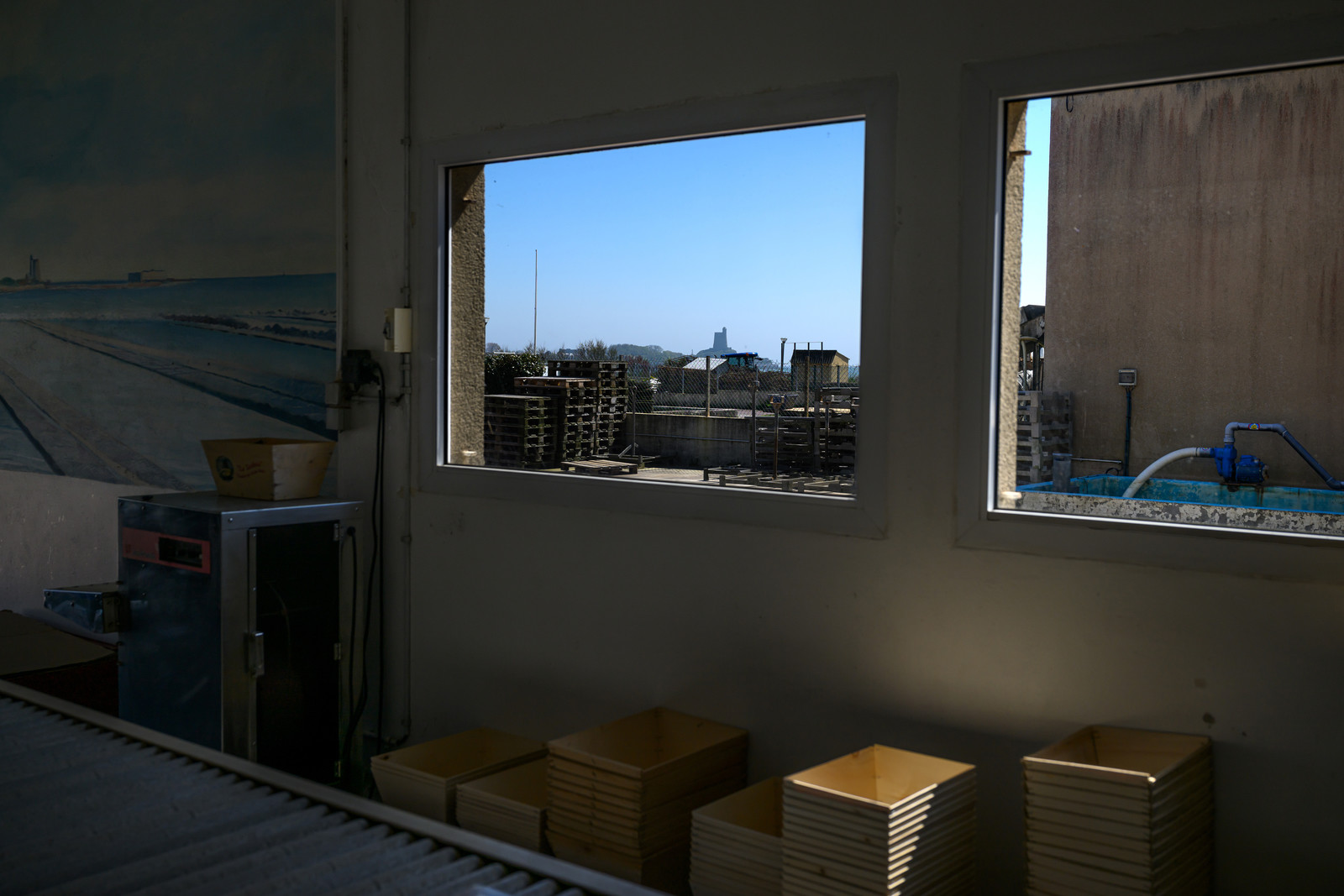 Les huîtres de Saint-Vaast-la-Hougue (Cotentin)