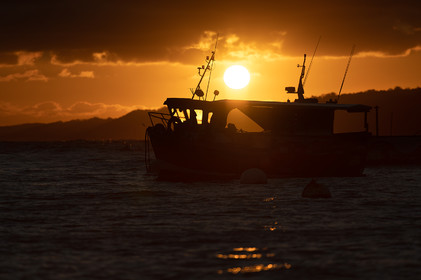 La Presqu'île du Cotentin