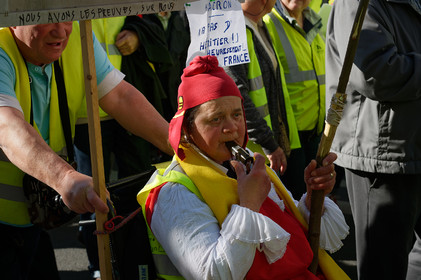 Les Gilets jaunes. Un mouvement social inédit dans l'histoire de France