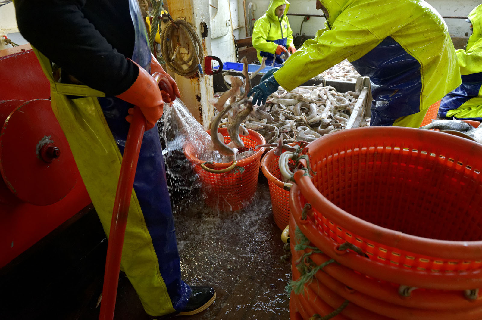 Ce reportage a été réalisé en janvier 2014 à bord du chalutier Marie-Catherine, appartenant à la SARL Armement Cherbourgeois créé en 1999 par Sophie et David LEROY. Cette marée de 7 jours fût assez mouvementée d'une part par la météo très capricieuse, mais également par la difficulté de réaliser les prises de vues. Une sélection de 20 photographies a été présentée lors de la 4ème édition du Festival photo L'Homme et la Mer au Guilvinec (Bretagne) en 2014, ainsi qu'au Musée de Tatihou 'Avis de grand frais (Manche) http:  www.armement-cherbourgeois.fr 
