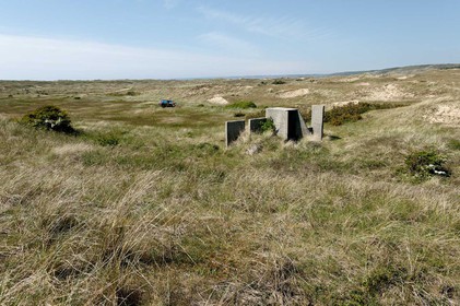 Les dunes de Biville couvrent plus de 700 hectares du littoral de la Hague (Manche), entre le cap de Flamanville et les falaises d’Herqueville. Elles constituent un massif naturel exceptionnel, tant par la qualité de ses paysages que sa richesse botanique.