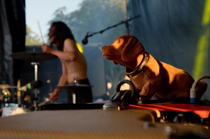 The ShoepolishersLes cireurs de pompe, dans la langue de Molière, n'en sont pas à leur coup d'essai. Avec pas moins de quatre albums dont un double live et un DVD vendu à plus de 10 000 exemplaires à leur actif, les Shoepolishers ont usé leurs savates sur une ribambelle de scènes et de festivals qu'ils ont peine à dénombrer. Leur musique, savant mélange folk rock agrémenté de consonances celtiques aux paroles un brin délirantes, constitue une invitation pour Blairoland. Ce monde fictif, peuplé de farfelus personnages dans un imaginaire conçu de toutes pièces, répand une énergie aussi électrisante que contagieuse sur scène. (http:  www.shoepolishers.fr)