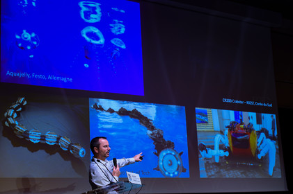 Grand Océan à la Cité de la Mer (Cherbourg-en-Cotentin)