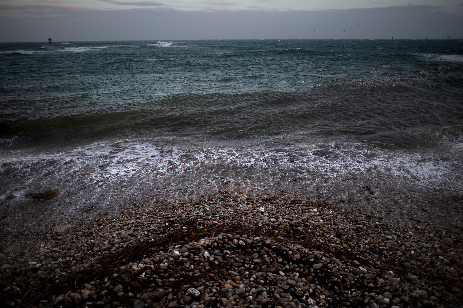 La Presqu'île du Cotentin