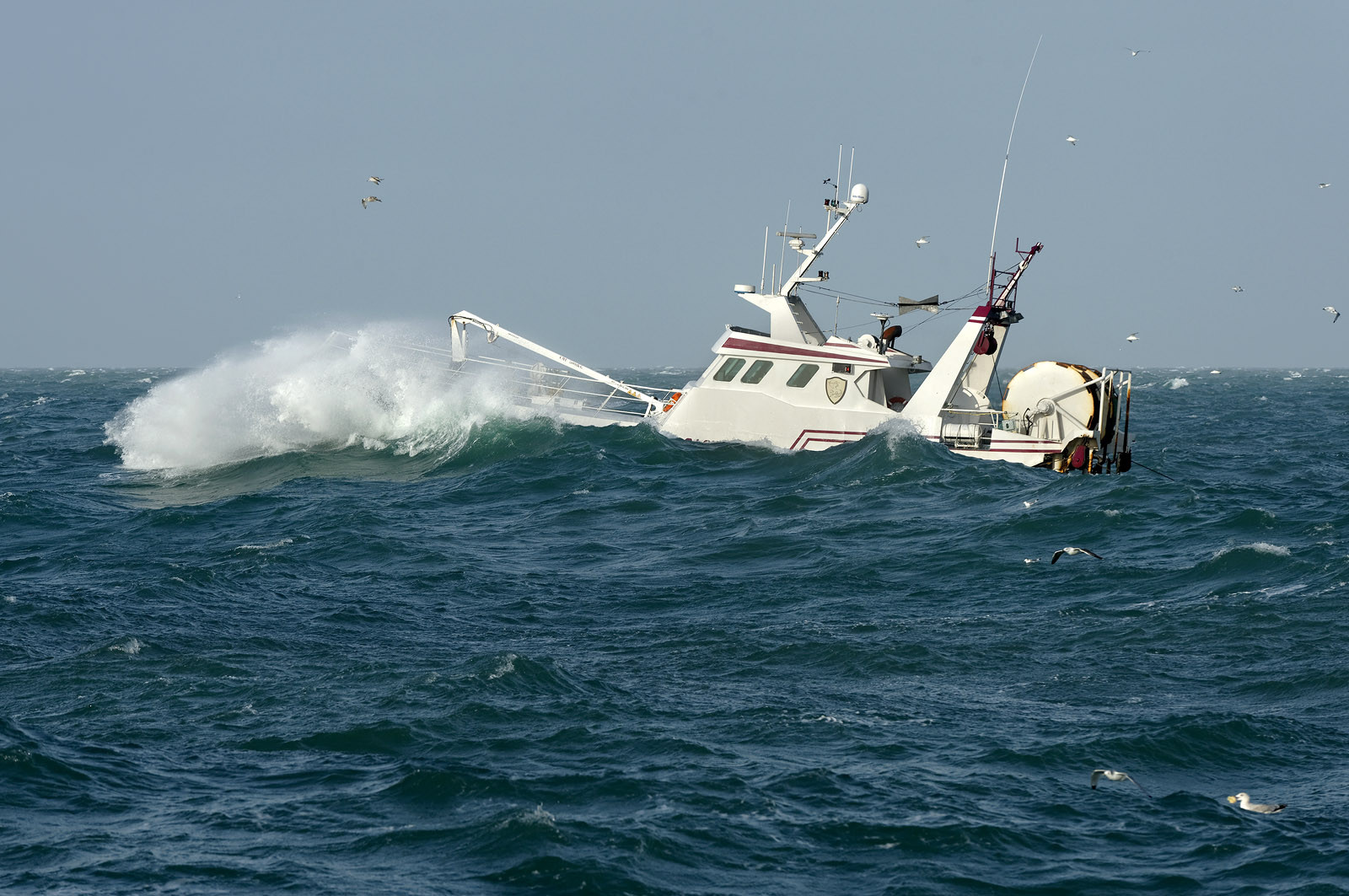 Ce reportage a été réalisé en janvier 2014 à bord du chalutier Marie-Catherine, appartenant à la SARL Armement Cherbourgeois créé en 1999 par Sophie et David LEROY. Cette marée de 7 jours fût assez mouvementée d'une part par la météo très capricieuse, mais également par la difficulté de réaliser les prises de vues. Une sélection de 20 photographies a été présentée lors de la 4ème édition du Festival photo L'Homme et la Mer au Guilvinec (Bretagne) en 2014, ainsi qu'au Musée de Tatihou 'Avis de grand frais (Manche) http:  www.armement-cherbourgeois.fr 