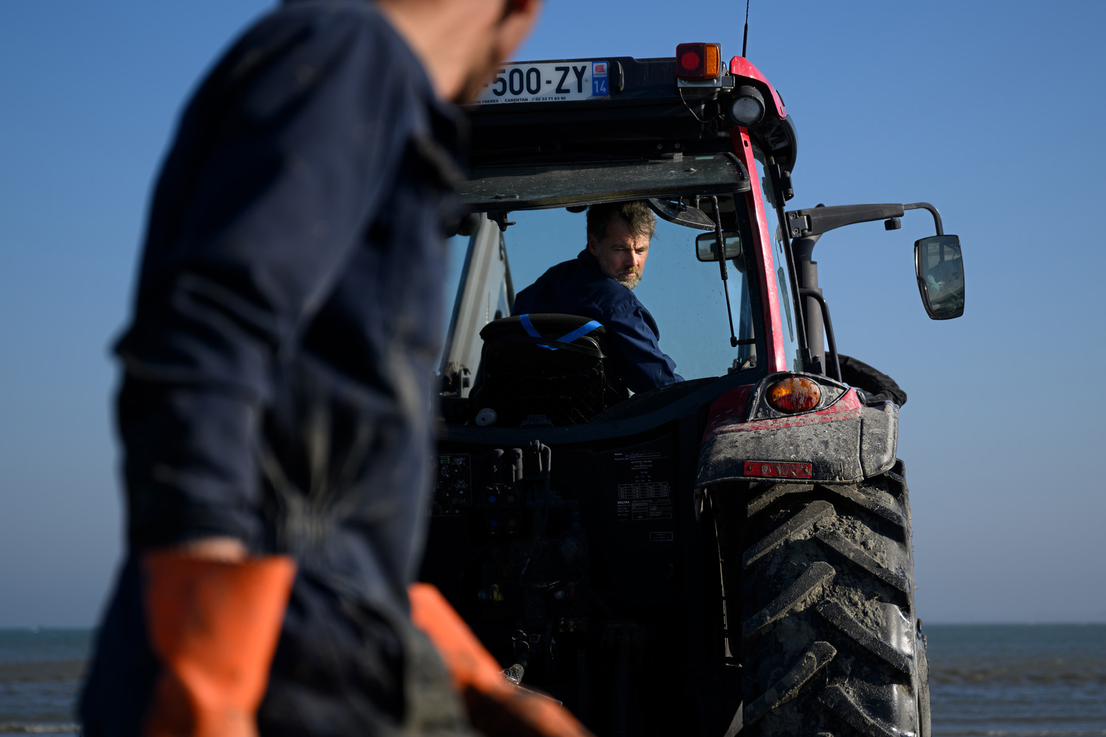 Les huîtres de Saint-Vaast-la-Hougue (Cotentin)