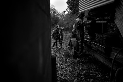 Les vergers du Clos Moulin