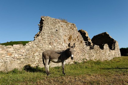 La ferme de la Cotentine est une ancienne exploitation agricole de la Manche, située à Omonville-la-Rogue.Abandonnée, et menacée de ruine, elle est achetée en 1991 par le Conservatoire du littoral, qui entreprend une opération de sauvegarde. En liaison avec la Communauté de communes de la Hague et le Syndicat mixte des espaces littoraux de la Manche (Symel), des chantiers bénévoles de réhabilitation sont organisés, qui permettent de mettre les murs en sécurité et de de commencer à mettre en valeur l'ensemble bâti.La baie de Quervière se situe entre Landemer et le port d'Omonville-la-Rogue (Manche) sur le sentier des Douaniers.