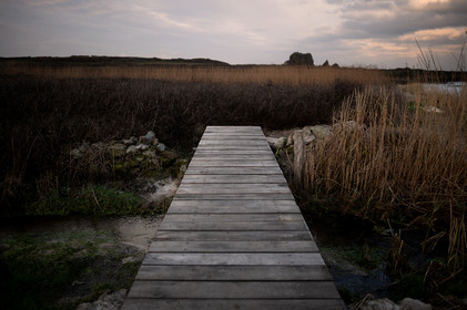 La Presqu'île du Cotentin