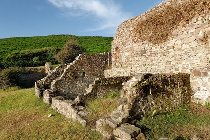 La ferme de la Cotentine est une ancienne exploitation agricole de la Manche, située à Omonville-la-Rogue.Abandonnée, et menacée de ruine, elle est achetée en 1991 par le Conservatoire du littoral, qui entreprend une opération de sauvegarde. En liaison avec la Communauté de communes de la Hague et le Syndicat mixte des espaces littoraux de la Manche (Symel), des chantiers bénévoles de réhabilitation sont organisés, qui permettent de mettre les murs en sécurité et de de commencer à mettre en valeur l'ensemble bâti.La baie de Quervière se situe entre Landemer et le port d'Omonville-la-Rogue (Manche) sur le sentier des Douaniers.