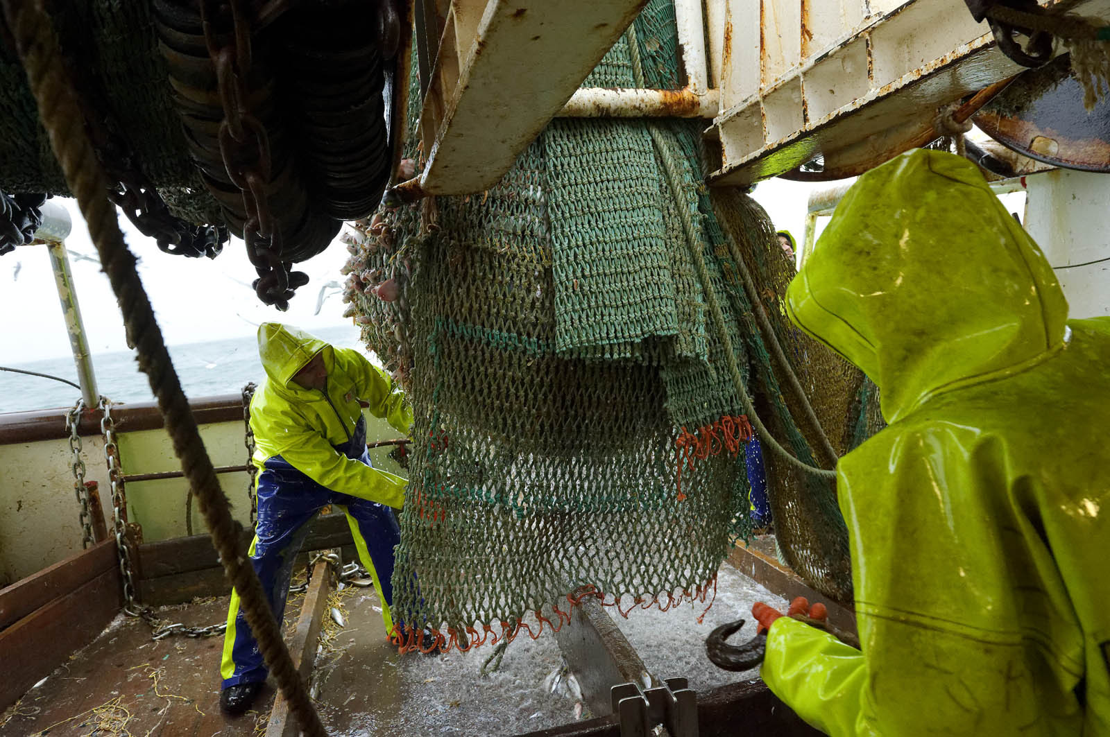 Ce reportage a été réalisé en janvier 2014 à bord du chalutier Marie-Catherine, appartenant à la SARL Armement Cherbourgeois créé en 1999 par Sophie et David LEROY. Cette marée de 7 jours fût assez mouvementée d'une part par la météo très capricieuse, mais également par la difficulté de réaliser les prises de vues. Une sélection de 20 photographies a été présentée lors de la 4ème édition du Festival photo L'Homme et la Mer au Guilvinec (Bretagne) en 2014, ainsi qu'au Musée de Tatihou 'Avis de grand frais (Manche) http:  www.armement-cherbourgeois.fr 