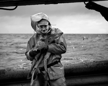 Marin pêcheur.. Deux mots qui suscitent tant de sentiments divers chez les gens de terre... Respect, admiration pour cette liberté, ce courage, mais aussi souvent peur et angoisse. Sont-ils fous ou désepérés pour risquer ainsi leurs vies quotidiennement ? Non, justes passionnés par leur métier, la mer est leur grande histoire d'amour.Le salaire de la peur des forcats de la mer, le journaliste avait raison.Ces photographies réalisées au cours de plusieurs marées à bord du Yannick, chalutier cherbourgeois, vous décrivent l'histoire d'un navire, d'un équipage, d'une famille. Vous embarquez à leurs côtés et découvrez leurs conditions de travail, la tempête, la fatigue, et, au détour d'une image, un sourire.Sophie LeroyDirectice de l'Armement Cherbourgeois