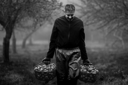 Les vergers du Clos Moulin