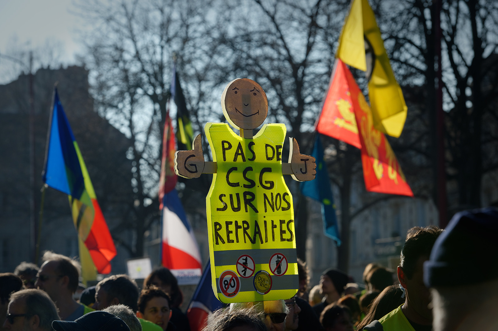 Les Gilets jaunes. Un mouvement social inédit dans l'histoire de France