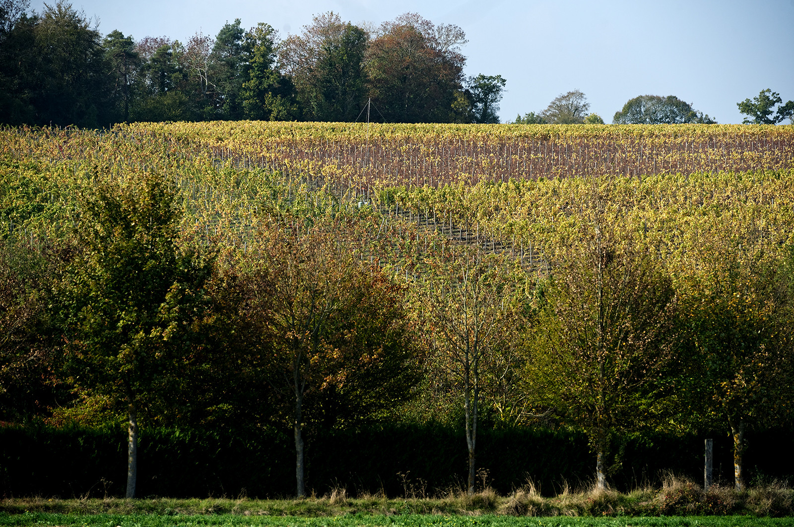 Reportages réalisés pour la rédaction Ouest-France de Caen.