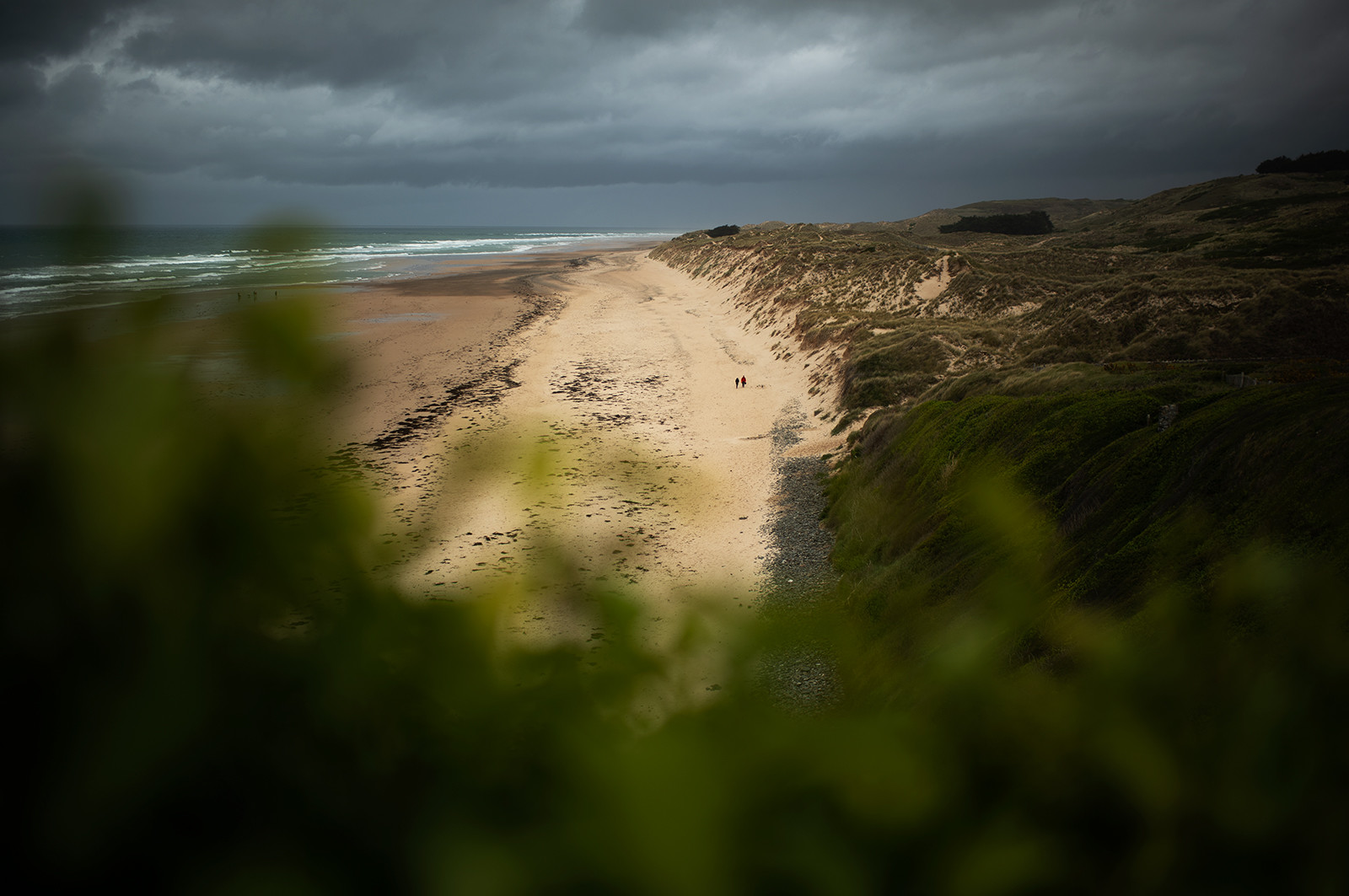 La Presqu'île du Cotentin