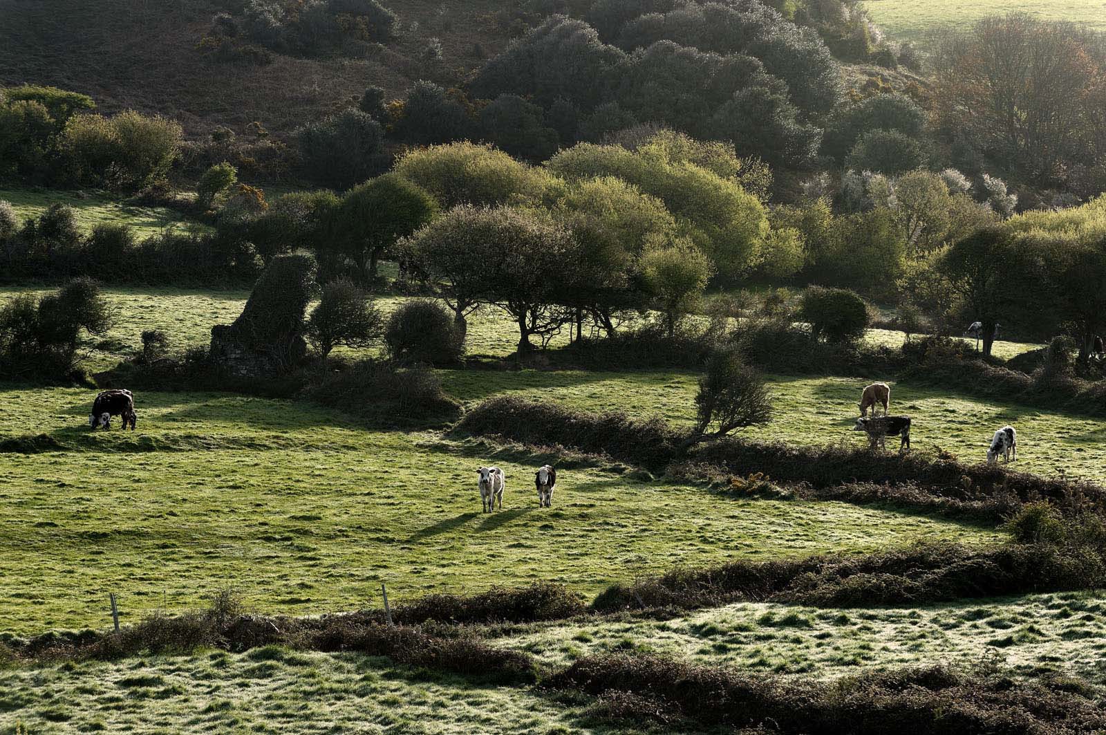 Cette baie bien abritée est une plage de galets et de sable fin, et tire son nom des moulins qui existaient autrefois dans la vallée qui la surplombe (écailler le grain). Les roches de l'anse de Cul Rond figurent parmi les plus anciennes de France : plus de 2 milliards d'années.