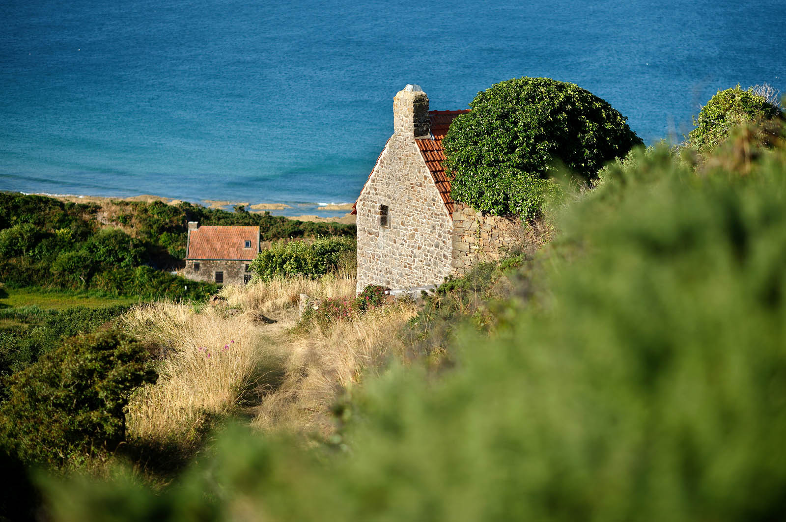 Le village de Vauville fait partie des sites classés de la Hague, Cap Cotentin. Les Pierres Pouquelées, galerie néolithique, sont un témoignage de l'Antiquité.La mare de Vauville est une réserve naturelle. Créée en 1976 c'est l'une des 135 réserves naturelles de France. Géré par le Groupe Ornithologique Normand depuis 1983, c'est un marais d'eau douce protégé de la mer par un étroit cordon dunaire. La mare de Vauville fait 62 ha, il y a plus de 150 espèces d'oiseaux ainsi que de 350 plantes et 16 espèces de batraciens.Un édifice autrefois religieux domine le village. C'est le prieuré de Vauville construit dans les landes, sur le haut d'une colline.Créé par Eric et Nicole Pellerin en 1947, l'exceptionnel jardin botanique du château de Vauville occupe plus de 40 000 m2. Abritant plus de 1000 espèces de l'hémisphère austral, le jardin entoure le château de Vauville dans une ambiance subtropicale tout à fait surprenante.
